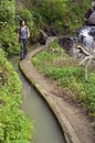 Female hiker walking along levada on Madeira Island