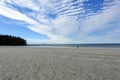 A female hiker walking along the ocean of the sandy beaches of nels bight and experimental bight, beside forest and the pacific Royalty Free Stock Photo