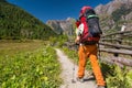 Female hiker walking on a path. Royalty Free Stock Photo