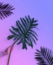 Female holding monstera leaf on in gradient neon