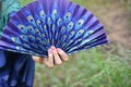 One girl holding peacock feather fan. details Royalty Free Stock Photo