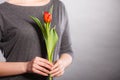 Female holding red flower. Royalty Free Stock Photo