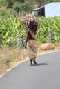 Female holding a yellow pile of grass on her head and walking down the paved road