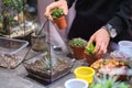 female holds glass florarium vase with succulent plants Small garden with miniature plants. Home indoor plants. DIY Royalty Free Stock Photo