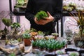 female holds glass florarium vase with succulent plants Small garden with miniature plants. Home indoor plants. DIY Royalty Free Stock Photo