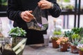 female holds glass florarium vase with succulent plants Small garden with miniature plants. Home indoor plants. DIY Royalty Free Stock Photo