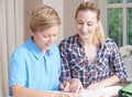 Female Home Tutor Helping Boy With Studies Royalty Free Stock Photo