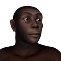 Female erectus portrait - 3D render Royalty Free Stock Photo