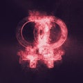 Female homosexuality symbol. Lesbian glyph. Doubled female sign. Royalty Free Stock Photo