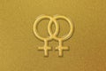 Female Homosexuality Symbol, lesbian glyph, Doubled male sign