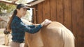 Female Horse Owner Brushing Off Dust From Her Palomino Horseback Using Horse Brush Royalty Free Stock Photo