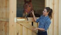 Female Horse Owner Feeding Her Dark Bay Horse In The Stall Out Of Her Hand Royalty Free Stock Photo