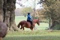 Female horse rider wearing a helmet at Bramham Park, Yorkshire