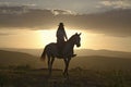 Female horseback rider and horse ride to overlook at Lewa Wildlife Conservancy in North Kenya, Africa at sunset