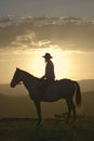 Female horseback rider and horse ride to overlook at Lewa Wildlife Conservancy in North Kenya, Africa at sunset Royalty Free Stock Photo