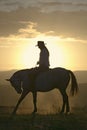 Female horseback rider and horse ride to overlook at Lewa Wildlife Conservancy in North Kenya, Africa at sunset