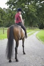 Female Horseback Rider Sitting On Horse