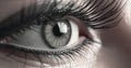 Female human eye macro shot. Quality photo Royalty Free Stock Photo