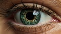 Female human eye macro shot. Quality photo Royalty Free Stock Photo