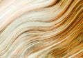 Female Human Hair Strands Closeup