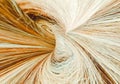 Female Human Hair Strands Closeup