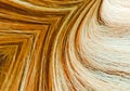 Female Human Hair Strands Closeup