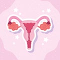 Female human reproductive system biology scheme