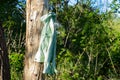 Female jacket hanging on a nail on a tree in the forest in the sun on vacation Royalty Free Stock Photo