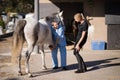 Female jockey talking to vet examining horse hoof Royalty Free Stock Photo