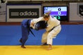 Female judo fighters