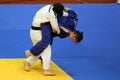 Female judo fighters Royalty Free Stock Photo