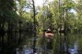 Female kayaker on Fisheating Creek, Florida. Royalty Free Stock Photo