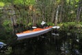 Female kayaker on Fisheating Creek, Florida.