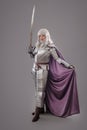 Female Knight In Shining Armour Royalty Free Stock Photo