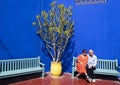 Female Korean tourist and her husband on a bench next to an Indian spurgetree in the Jardin Majorelle in Marrakesh, Morocco.