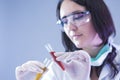 Female Laboratory Worker Dealing With Flasks Containing Liquid Chemicals Royalty Free Stock Photo