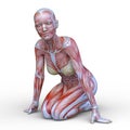 Female lay figure Royalty Free Stock Photo