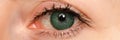 Female left blue eye tinted in green colour with special contact lens Royalty Free Stock Photo