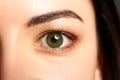 Female left emerald green coloured eye extreme closeup Royalty Free Stock Photo