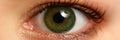 Female left emerald green coloured eye extreme closeup Royalty Free Stock Photo