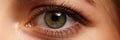 Female left emerald green coloured eye extreme closeup Royalty Free Stock Photo