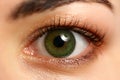 Female left emerald green coloured eye extreme closeup Royalty Free Stock Photo