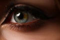 Female left green blue coloured eye Royalty Free Stock Photo