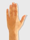 Female left hand rear polygonal low-poly