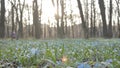 Female legs on a background of snowdrops with hotspot