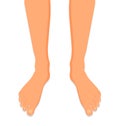 Female legs barefoot, side view. Graceful bare female feet. Vector isolated illustration on white background Royalty Free Stock Photo