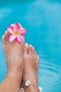 Female legs blue pool water frangipani flower Royalty Free Stock Photo