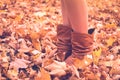 Female legs in brown boots. Yellow foliage underfoot. Autumn concept Royalty Free Stock Photo