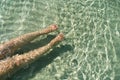 Woman swimming on the sea. Female legs under clear sea water. Realistic top view photo of a women\'s legs barefoot. Royalty Free Stock Photo