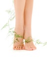 Female legs with green plant Royalty Free Stock Photo